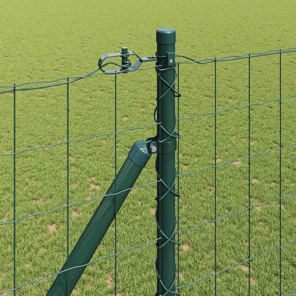 Euro ograda s špicama 10 x 1,6 m Čelik premazan PVC-om Zelena