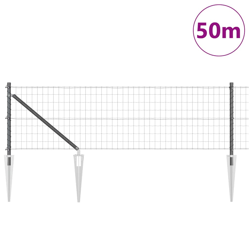 Euro ograda s špicama 50 x 0,6 m Čelik premazan PVC-om Siva