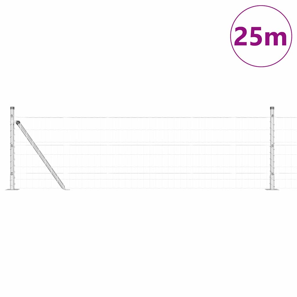 Euro Ograđivanje s Betonskom Bazom 25 x 0,6 m Pocinčani čelik