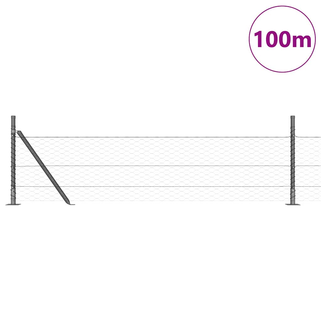 Heksagonalna ograda s betonskom osnovom 100 x 0,5 m Siva Mreža