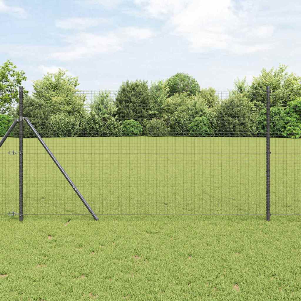 Temeljna zavarena žičana ograda 50 x 1 m Čelik premazan PVC-om