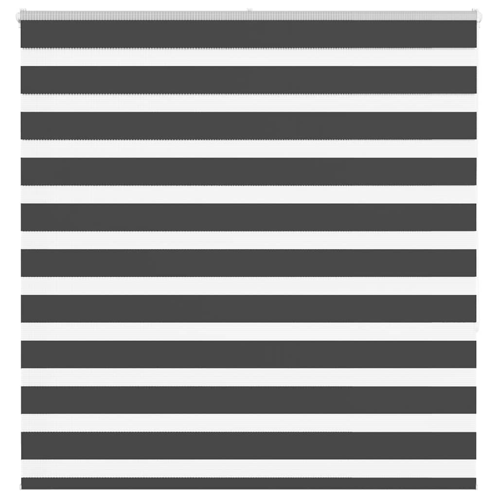 Zavjesa zebra crna 150x150 cm širina tkanine 145,9 cm poliester