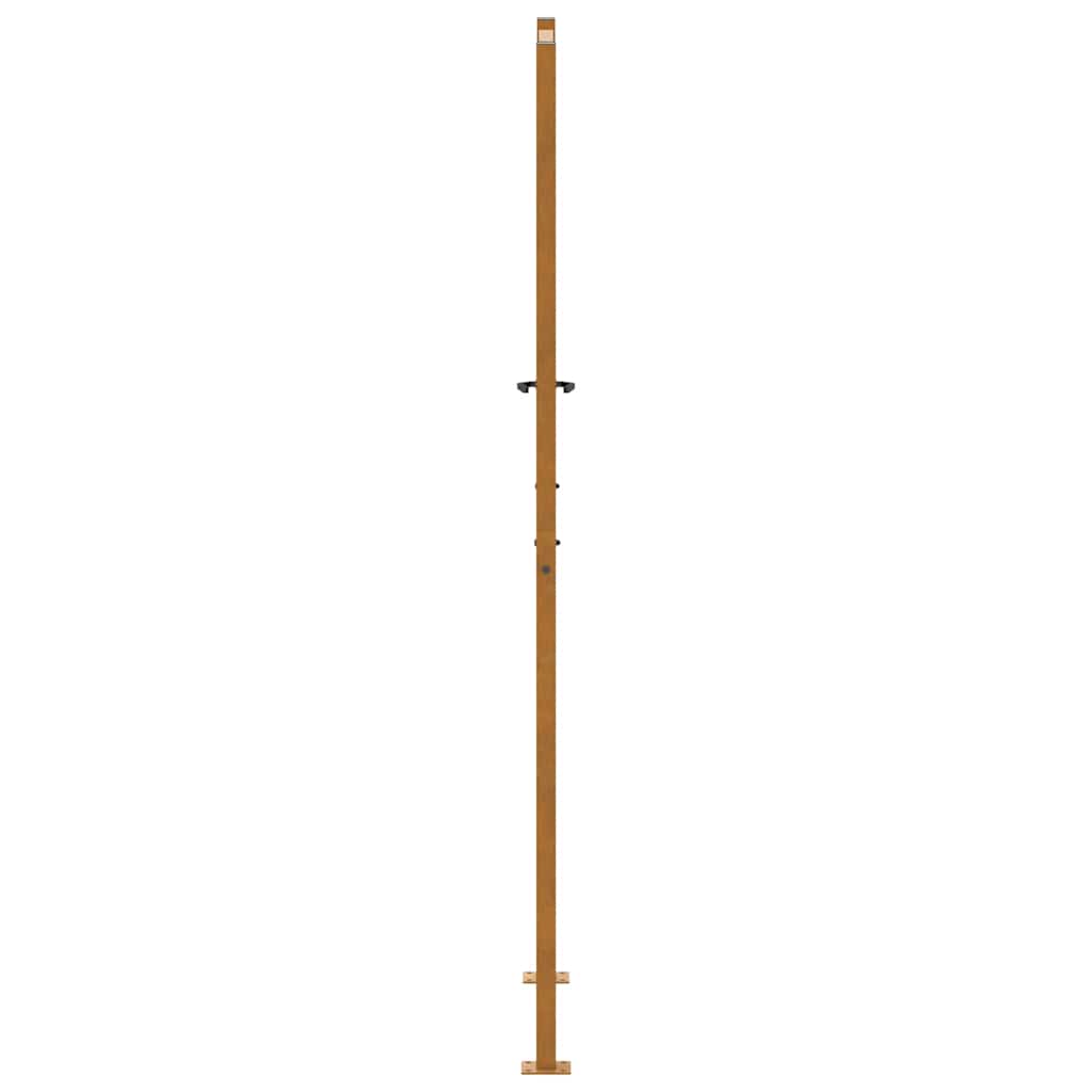 Vrtna vrata 100x200 cm Čelik otporan na vremenske uvjete Valoviti dizajn