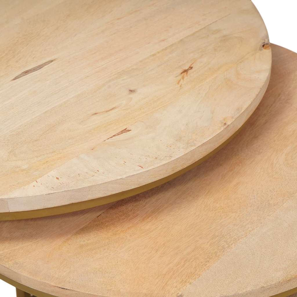 Stolovi za kavu na sklapanje 2 pcs Masivno drvo manga i čelik