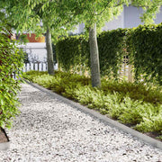 Ograda oko Travnjaka 20 pcs Srebrno 100 x 0,05 x 15 cm