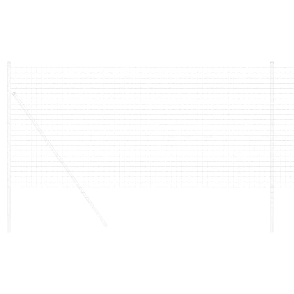 Euro ograda 1,4 x 10 m Željezo prekriveno PVC-om