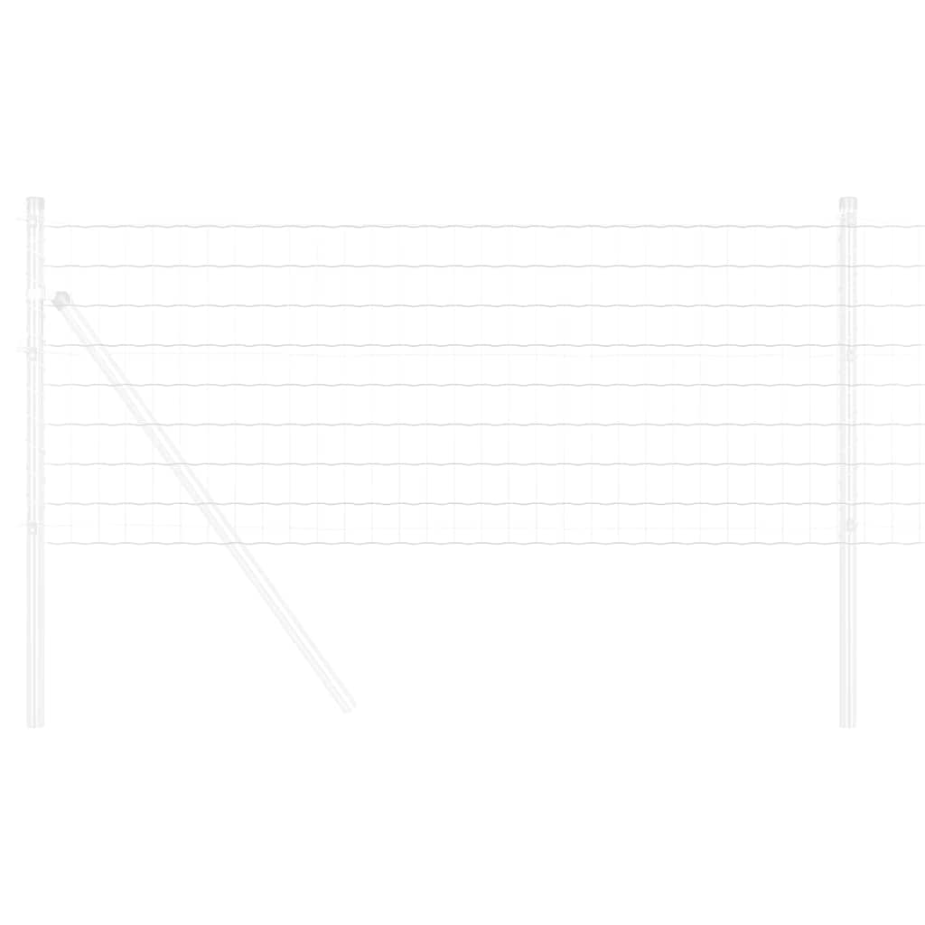 Euro ograda 0,6 x 10 m Željezo prekriveno PVC-om