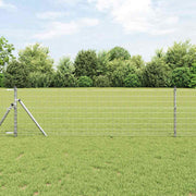 Euro ograda 0,8 x 10 m Željezo prekriveno PVC-om