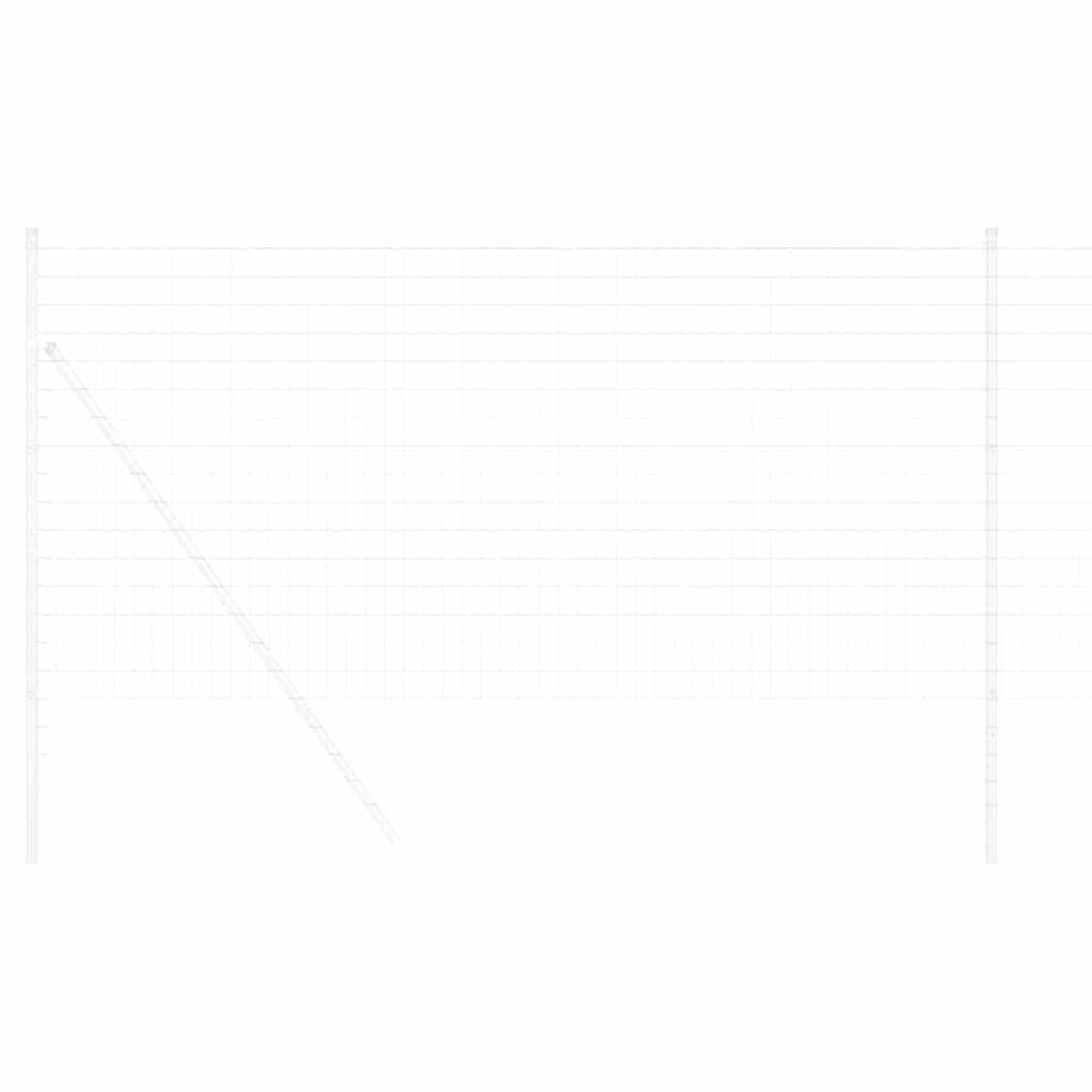 Euro ograda 1,2 x 10 m Željezo prekriveno PVC-om