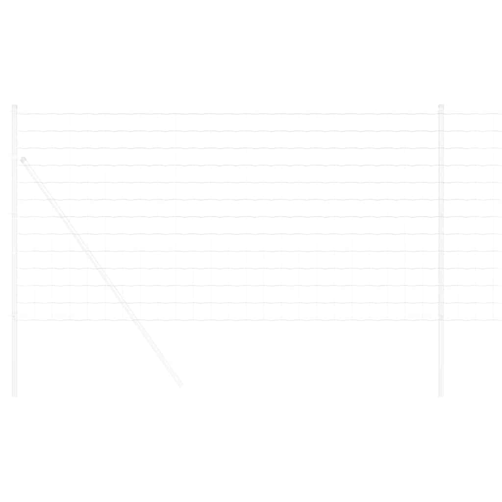Euro ograda 1,6 x 10 m Željezo prekriveno PVC-om