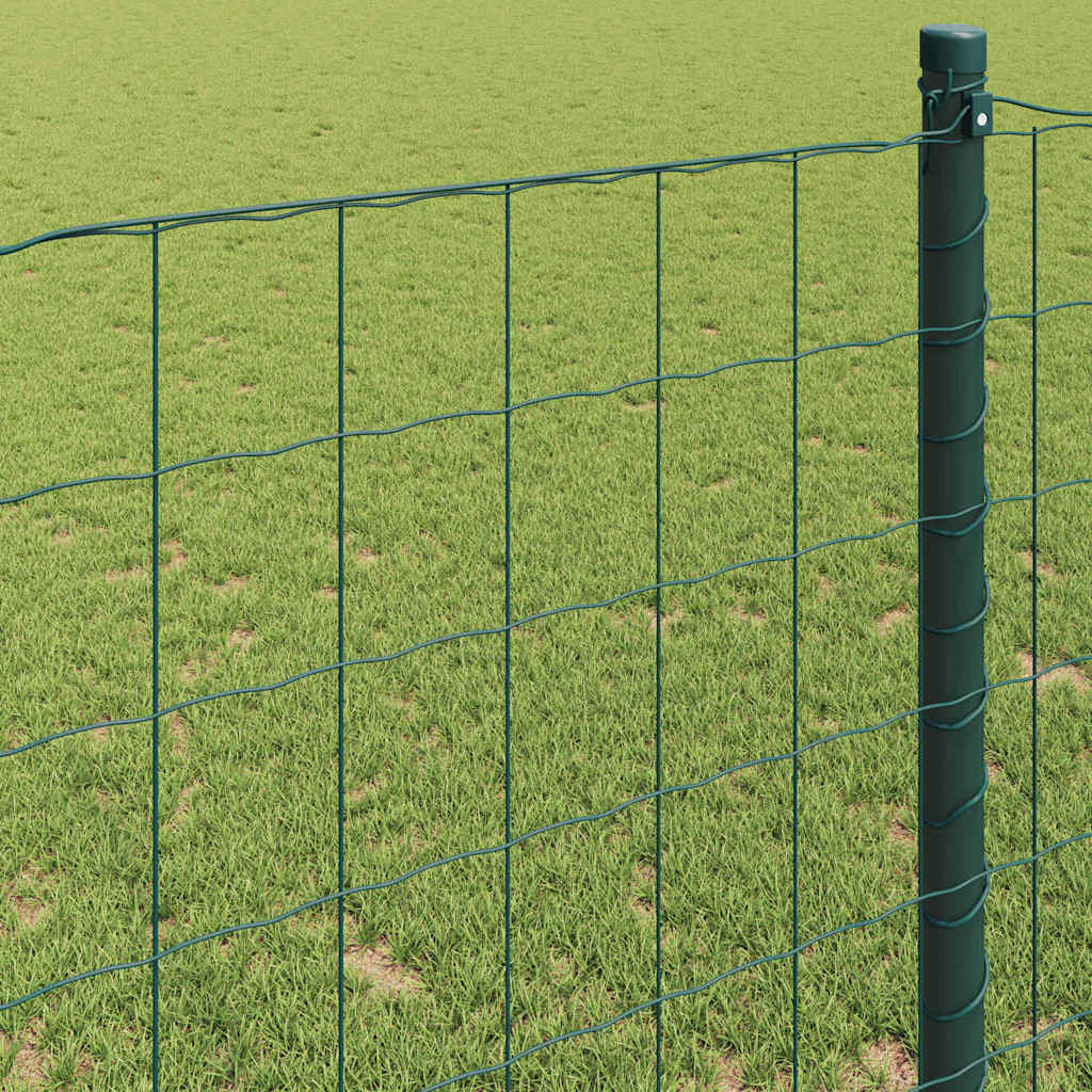 Euro ograda 1 x 25 m Željezo prekriveno PVC-om Zelena