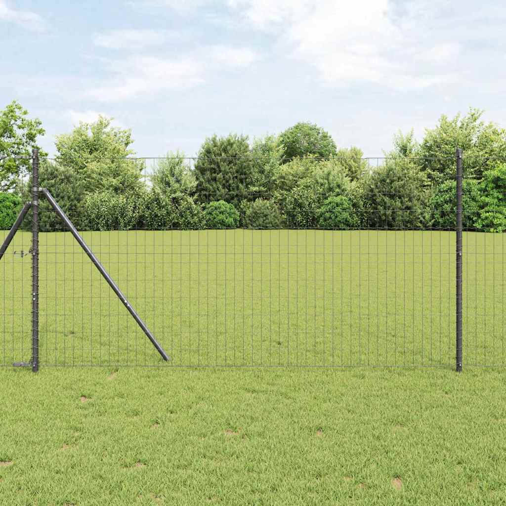 Euro ograda Siva 1 x 25 m Željezo prekriveno PVC-om