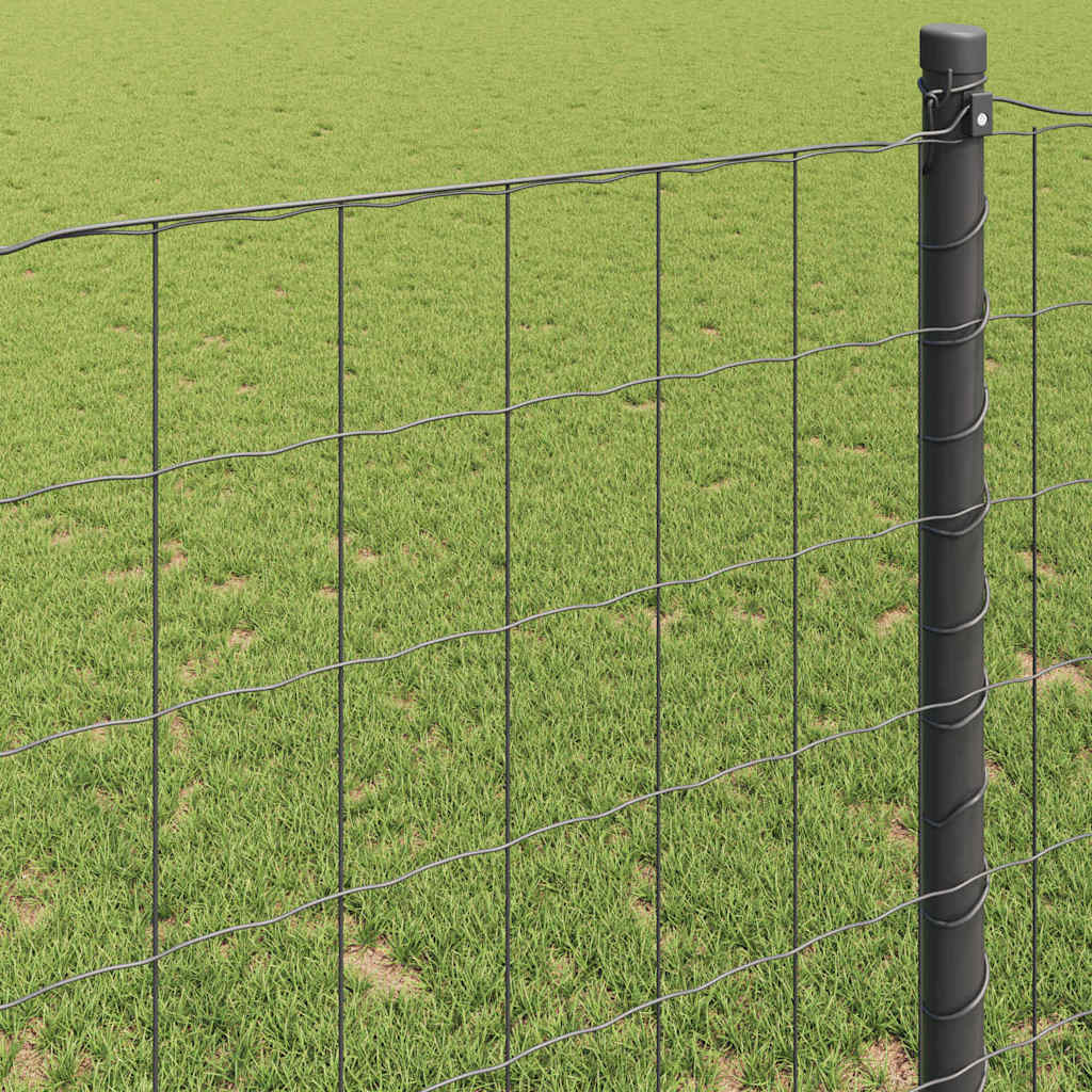 Euro ograda Siva 0.4 x 25 m Željezo prekriveno PVC-om
