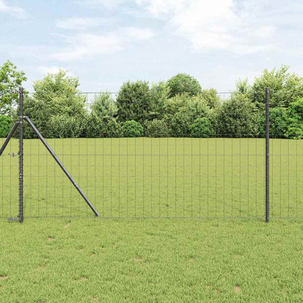 Euro ograda Siva 1 x 25 m Željezo prekriveno PVC-om