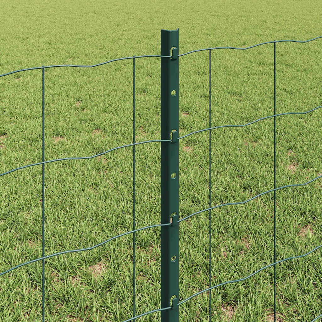 Euro ograda s postom 10 x 0,6 m Čelik premazan PVC-om Zelena