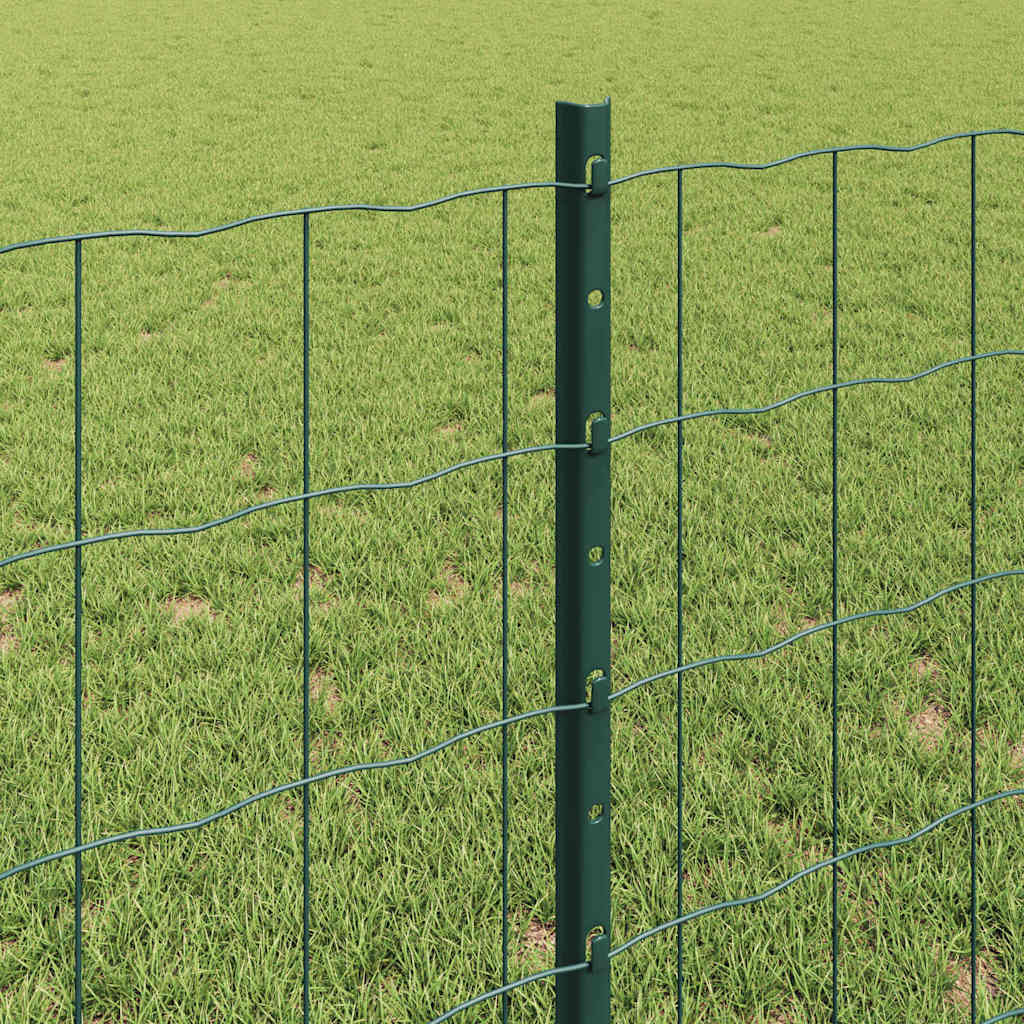 Euro ograda s postom 25 x 0,8 m Čelik premazan PVC-om Zelena