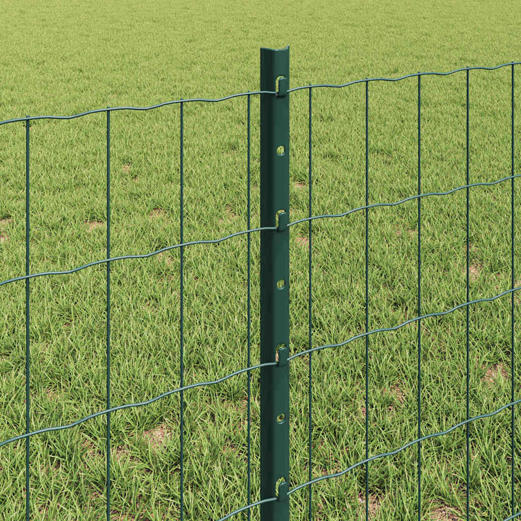 Euro ograda s postom 50 x 0,6 m Čelik premazan PVC-om Zelena