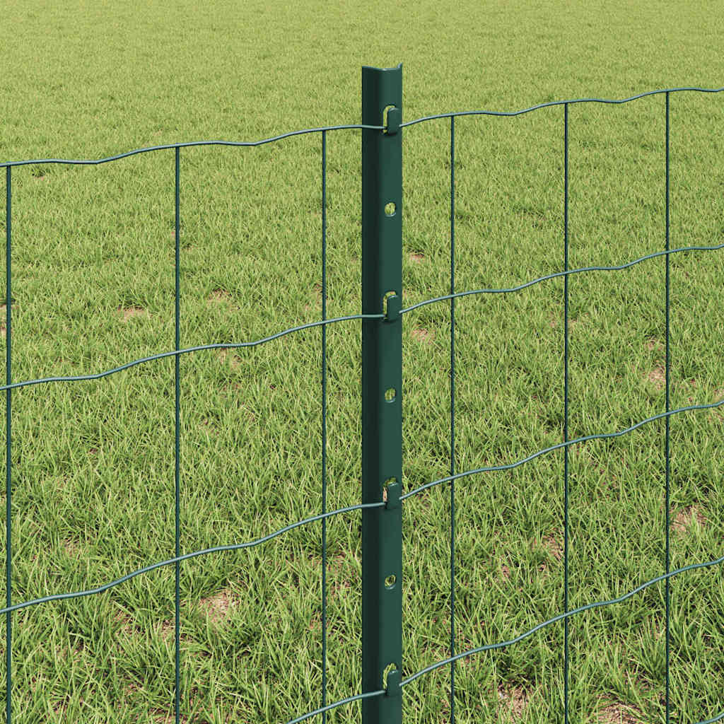 Euro ograda s postom 50 x 0,6 m Čelik premazan PVC-om Zelena