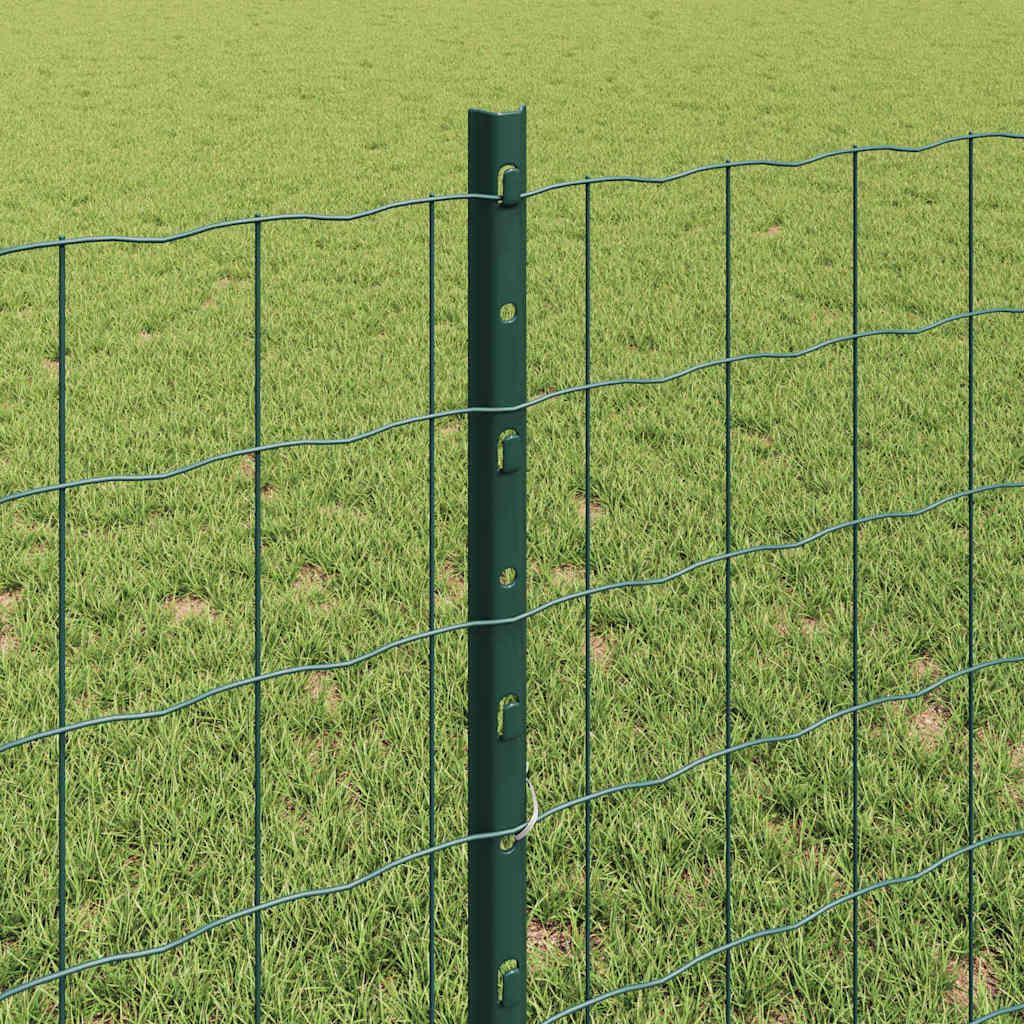 Euro ograda s postom 10 x 0,8 m Čelik premazan PVC-om Zelena