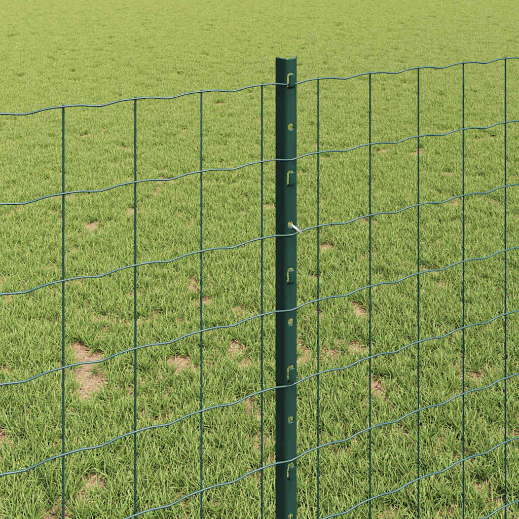 Euro ograda s postom 10 x 1 m Čelik premazan PVC-om Zelena