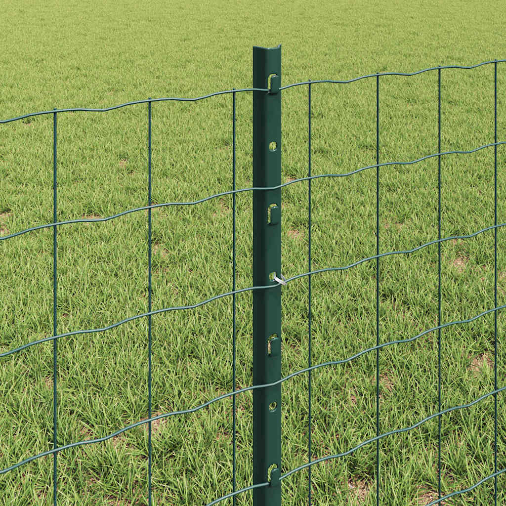 Euro ograda s postom 50 x 0,6 m Čelik premazan PVC-om Zelena