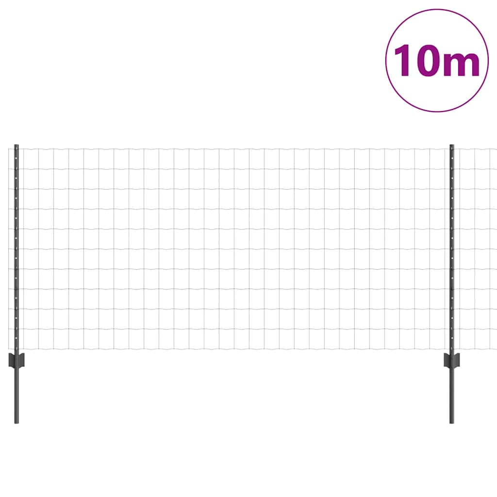 Euro ograda s postom 10 x 1 m Čelik premazan PVC-om Siva Mreža