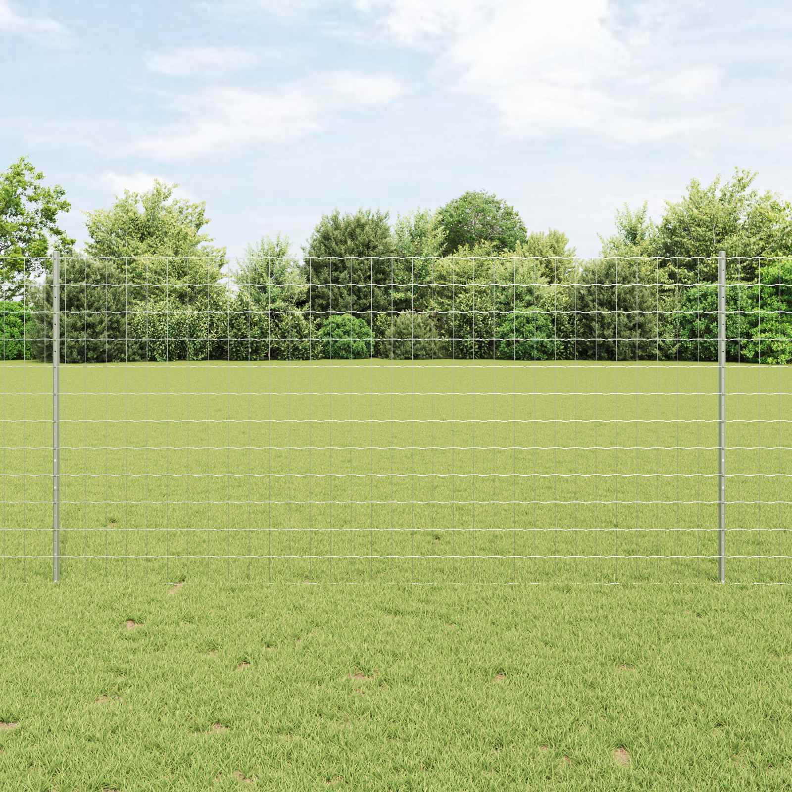 Euro ograda s postom 10 x 1,2 m Pocinčani čelik Srebrna Mreža