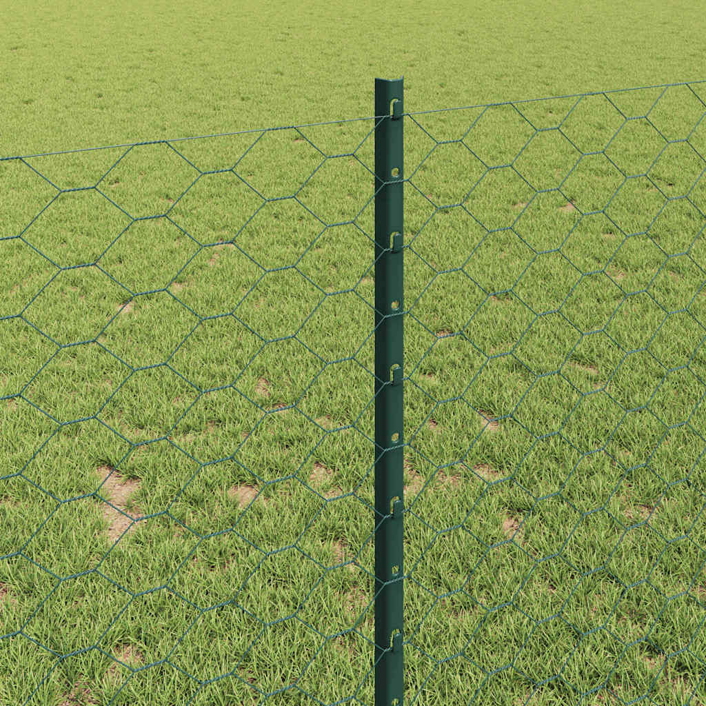 Zavarena žičana ograda 50 x 1 m (Š x V) Čelik premazan PVC-om