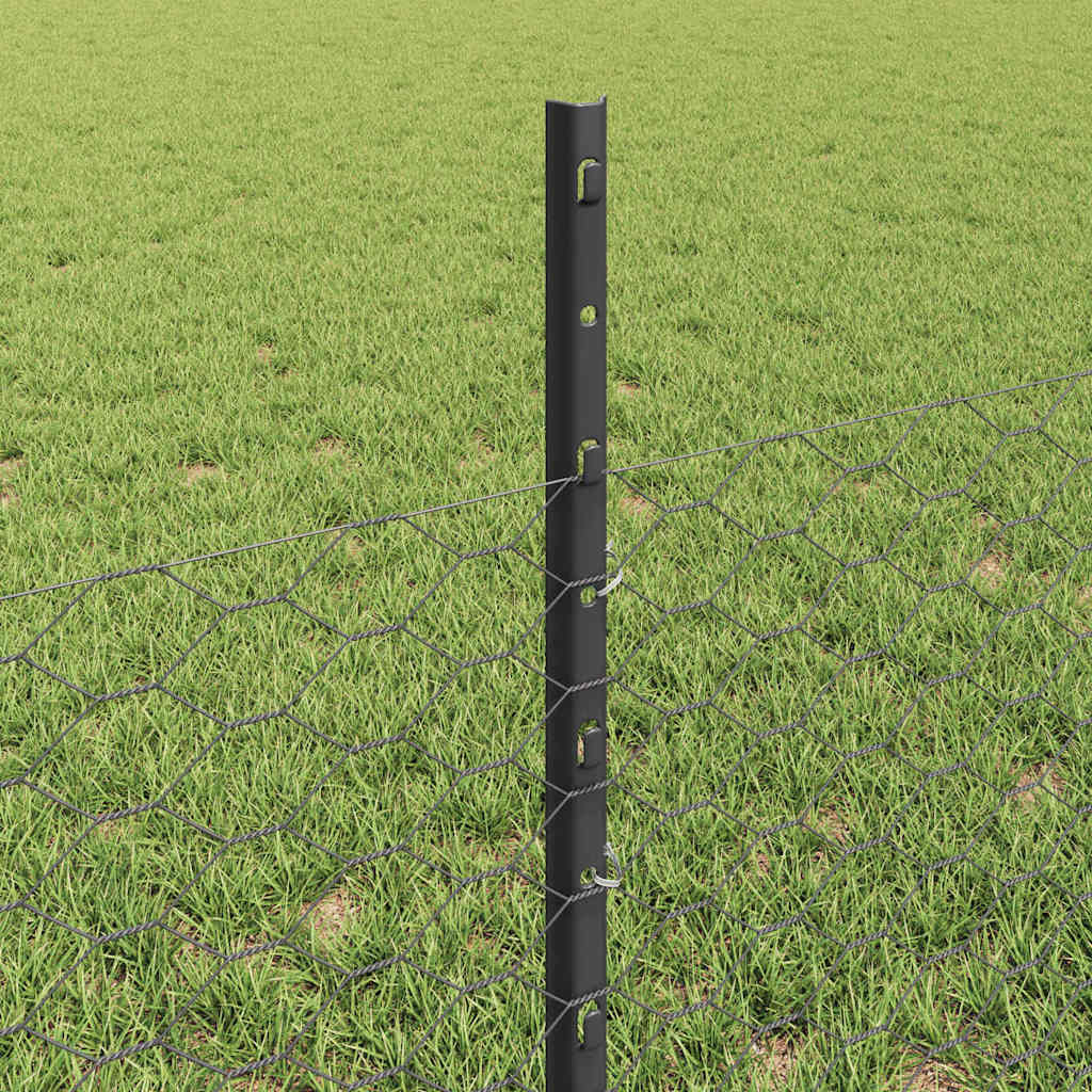 Zavarena žičana ograda 10 x 0,5 m (Š x V) Čelik premazan PVC-om