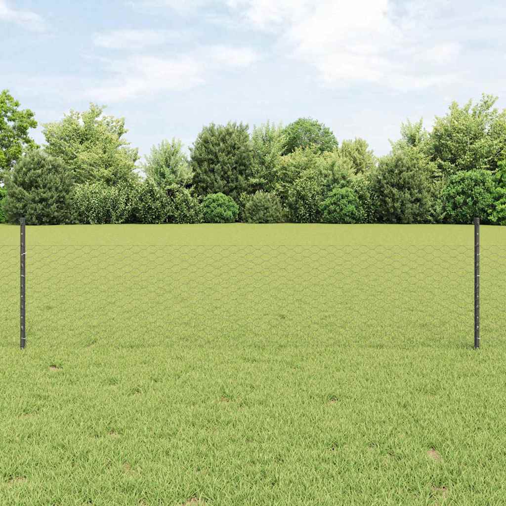 Heksagonalna ograda s stubom 25 x 0,5 m Čelik premazan PVC-om