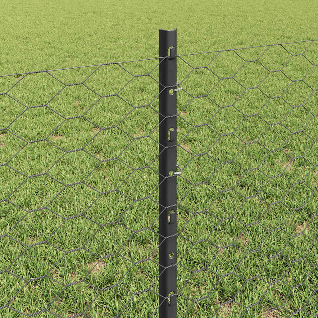 Heksagonalna ograda s stubom 25 x 0,6 m Čelik premazan PVC-om