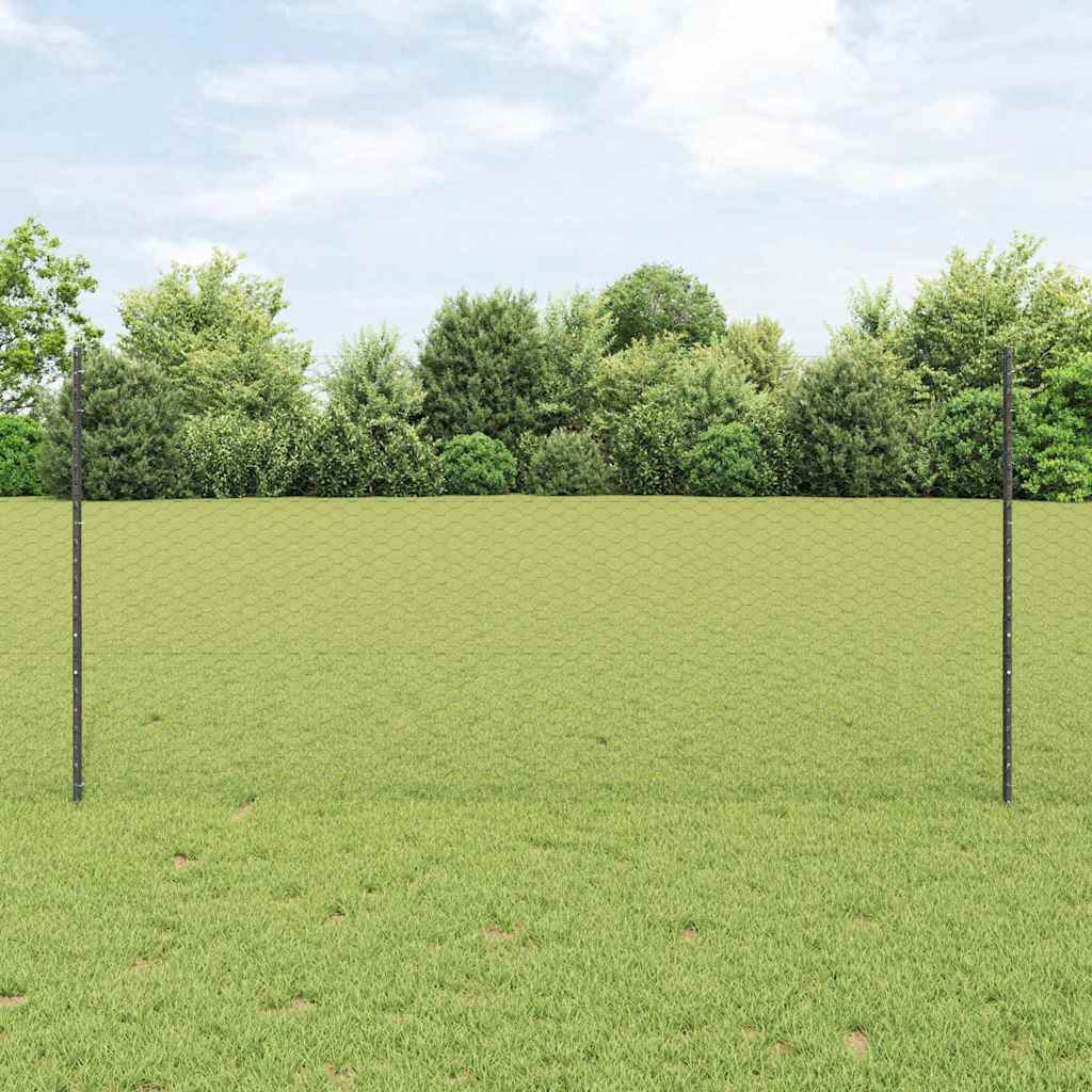 Heksagonalna ograda s stubom 25 x 1,2 m Čelik premazan PVC-om