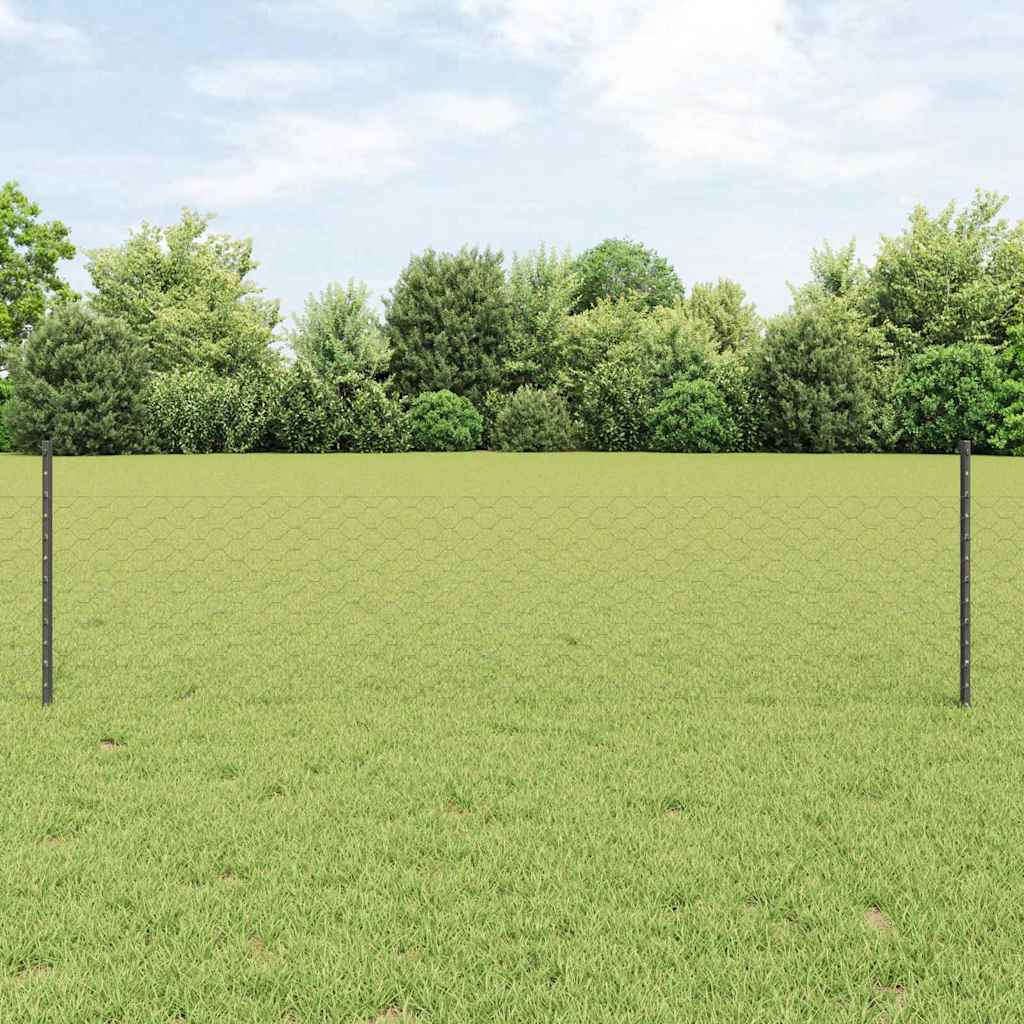 Heksagonalna ograda s stubom 50 x 0,5 m Čelik premazan PVC-om