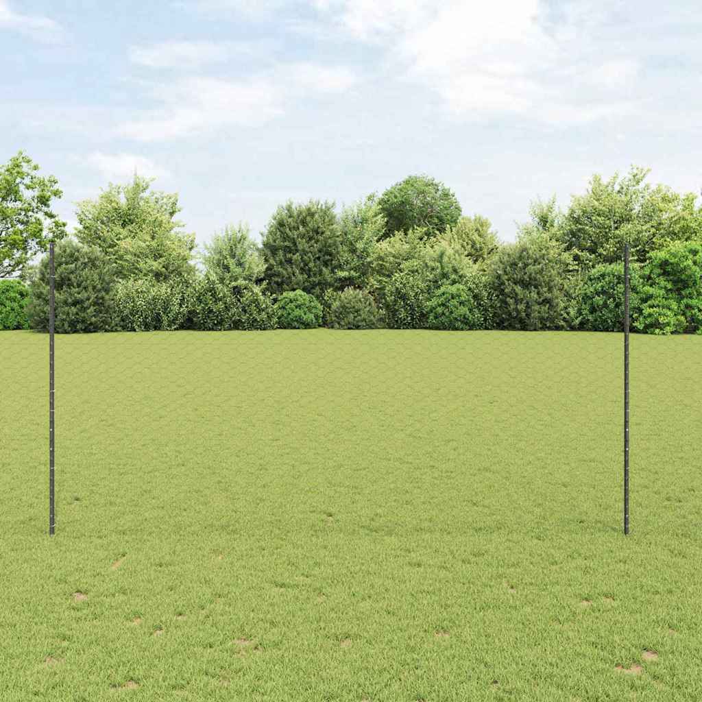 Heksagonalna ograda s stubom 50 x 1,5 m Čelik premazan PVC-om