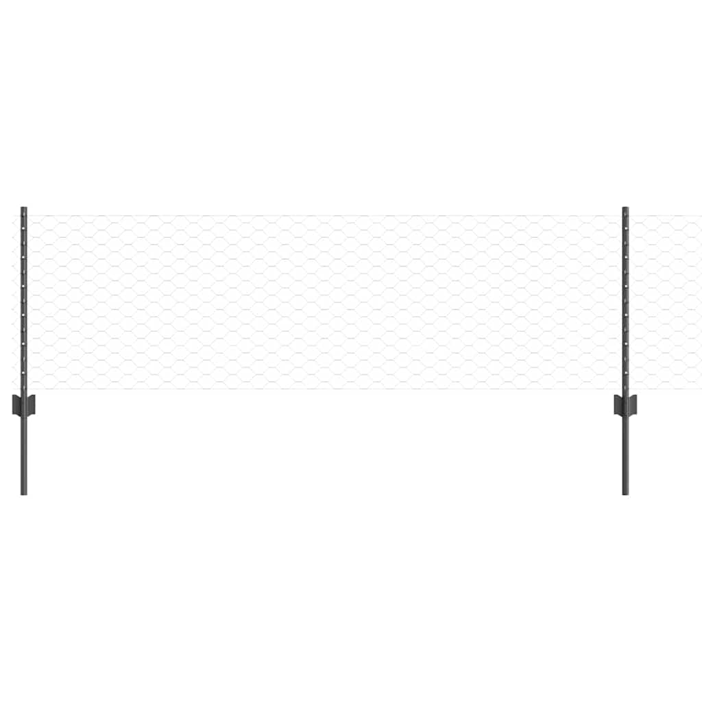 Zavarena žičana ograda 100 x 0,6 m (Š x V)