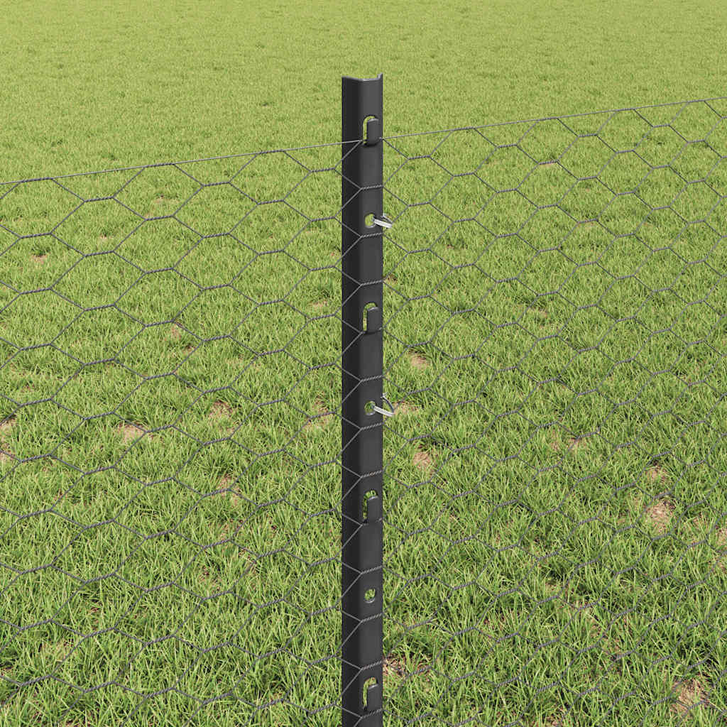 Zavarena žičana ograda 100 x 0,8 m (Š x V)