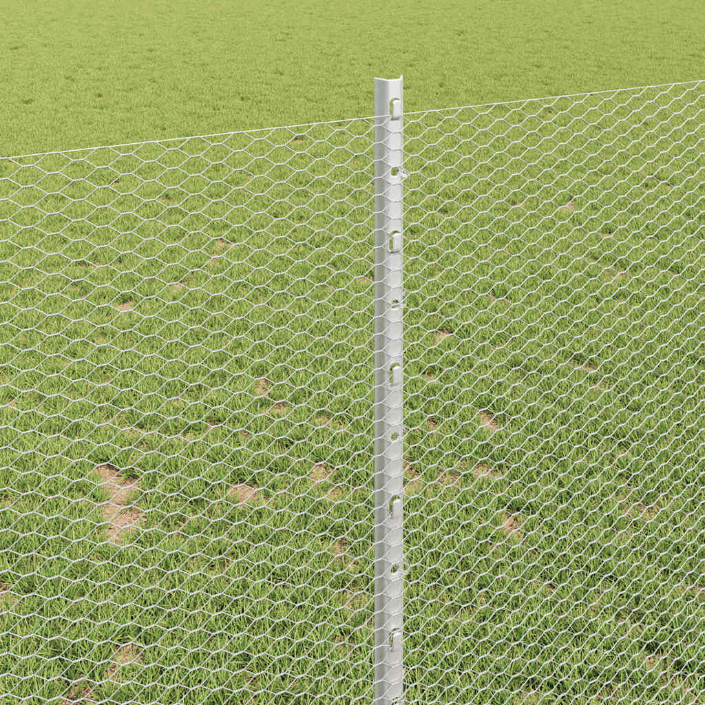 Zavarena žičana ograda 10 x 1 m (Š x V) Vruće pocinčani čelik