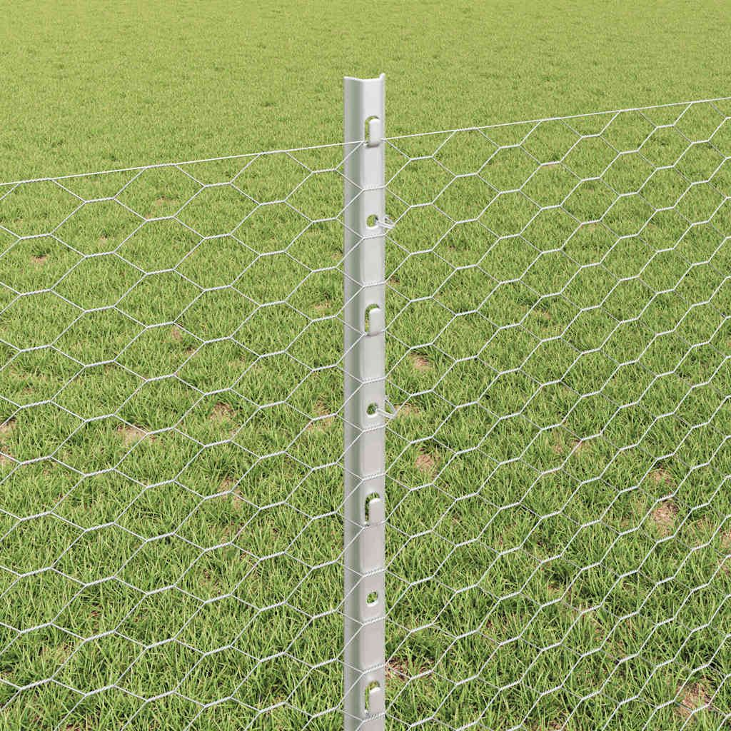 Zavarena žičana ograda 100 x 0,8 m (Š x V)