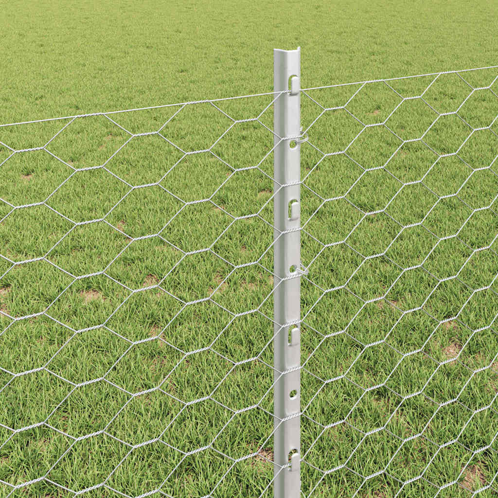 Zavarena žičana ograda 100 x 0,8 m (Š x V)