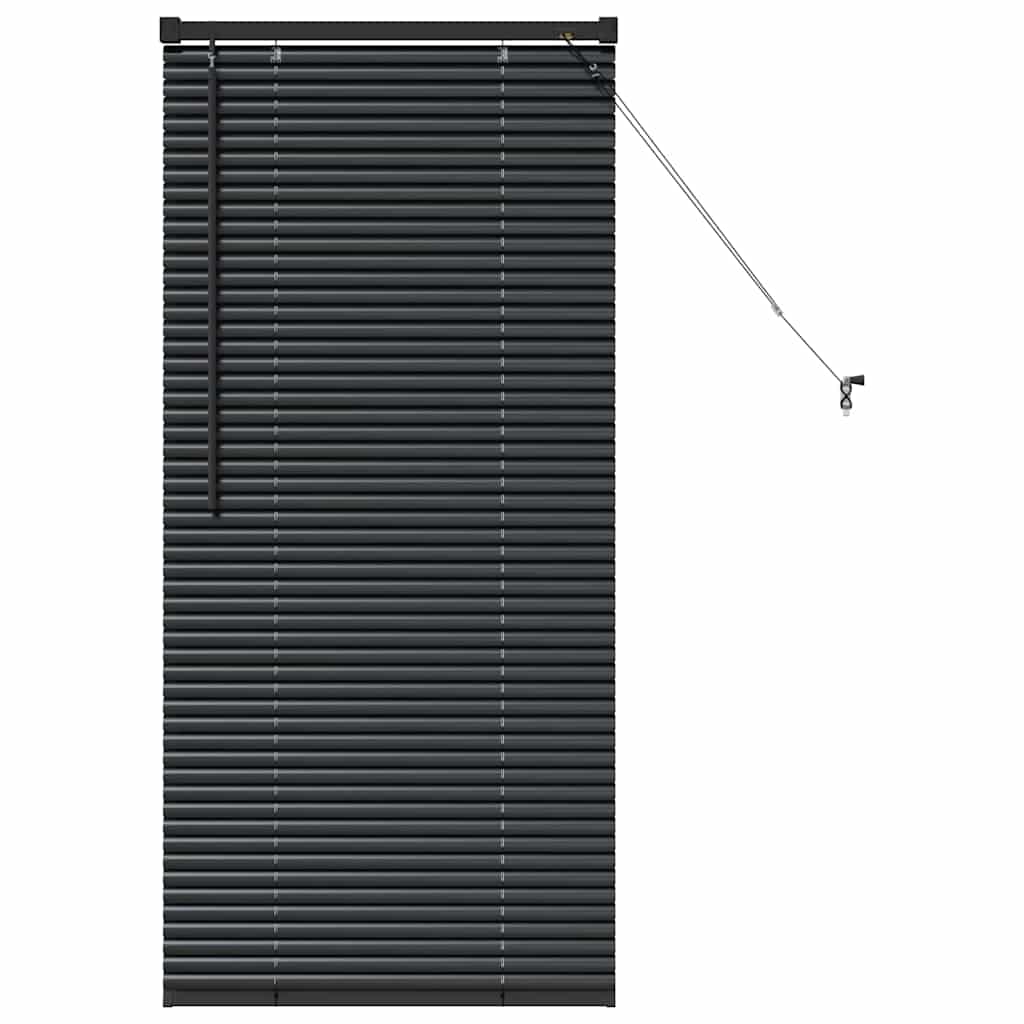 Venecijanski zastore Crna 130 x 60 cm Aluminij