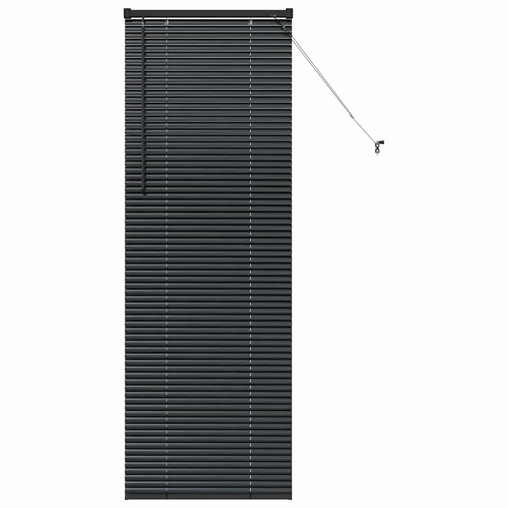 Venecijanski zastore Crna 175 x 60 cm Aluminij