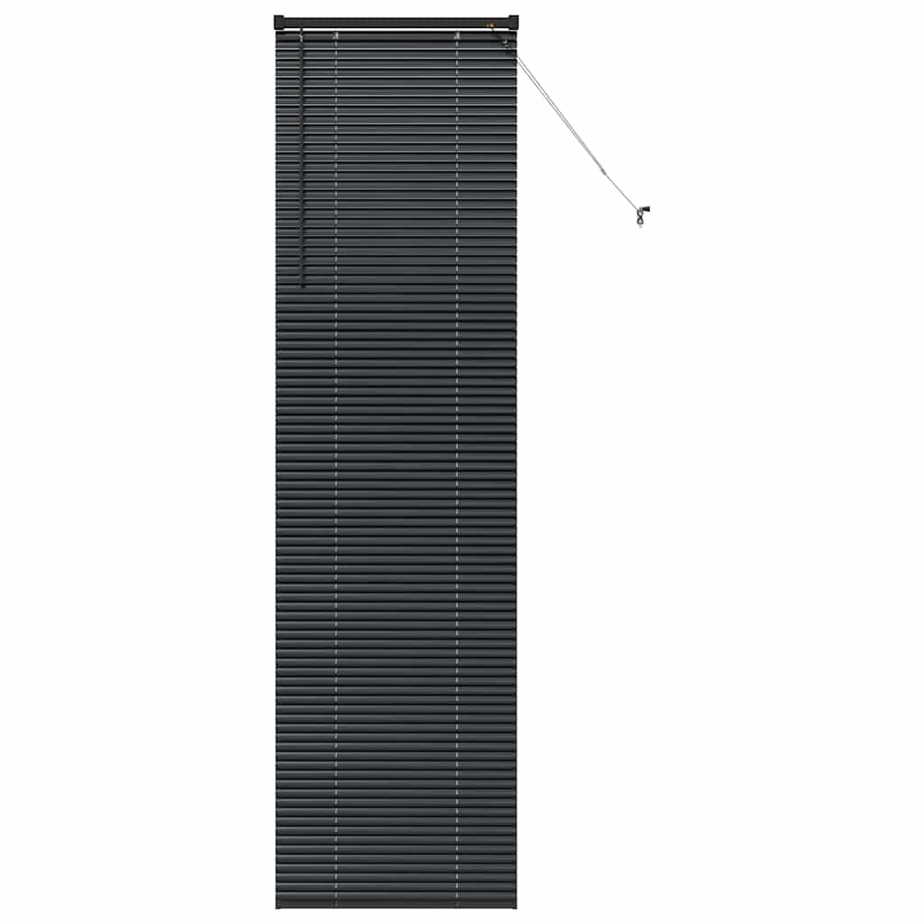 Venecijanski zastore Crna 220 x 60 cm Aluminij