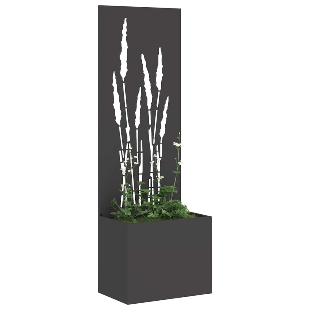 Privatnost u vrtu Crna 50 x 150 cm Hladno valjana čelična