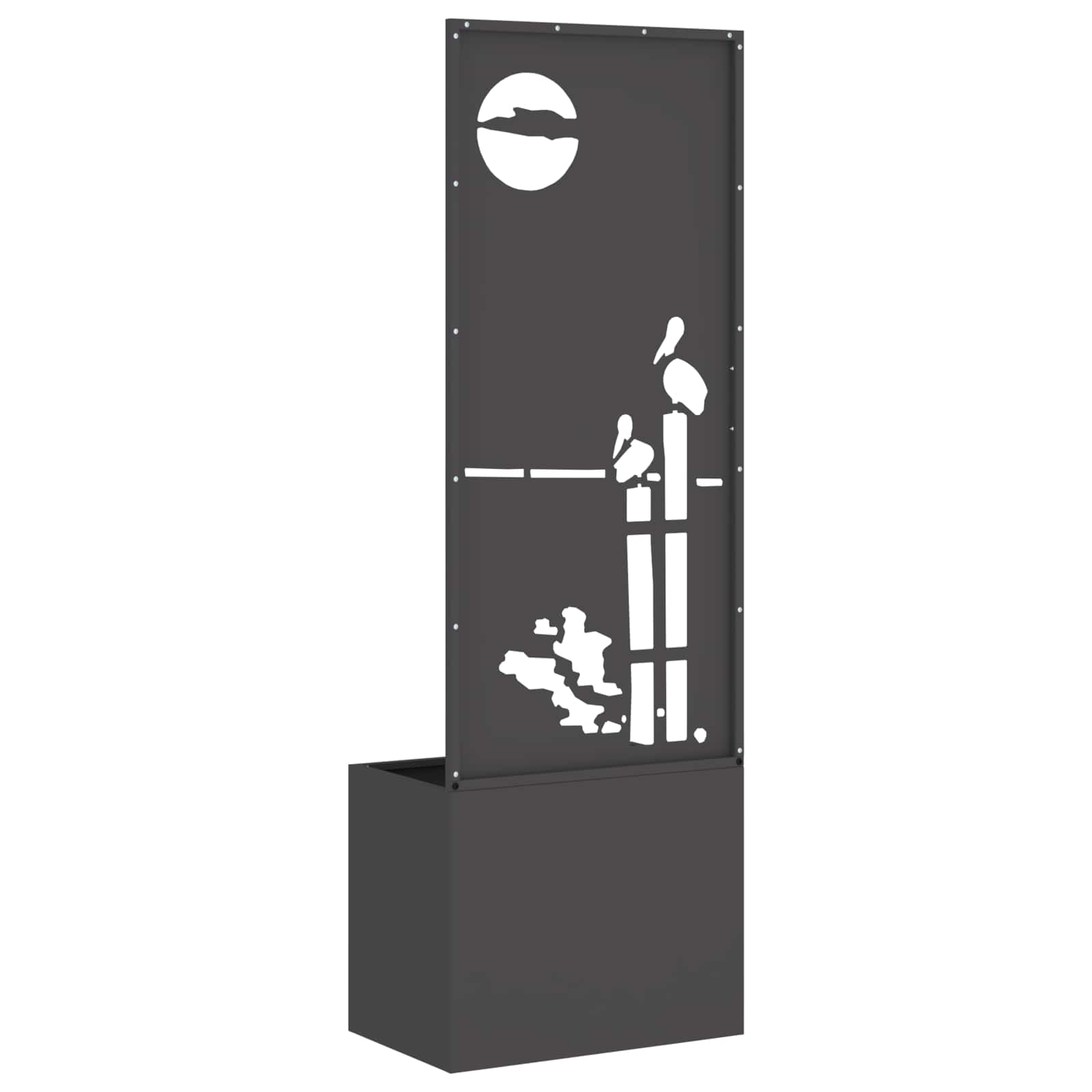 Privatnost u vrtu Crna 50 x 150 cm Hladno valjana čelična