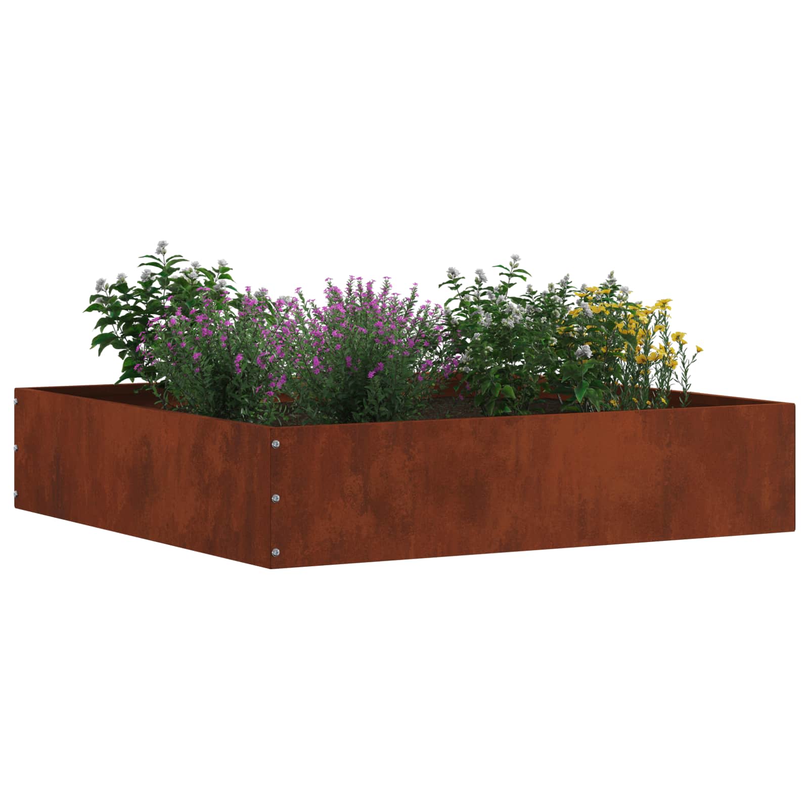 Ograda oko Travnjaka 6 pcs Rđa 60 x 60 x 13 cm