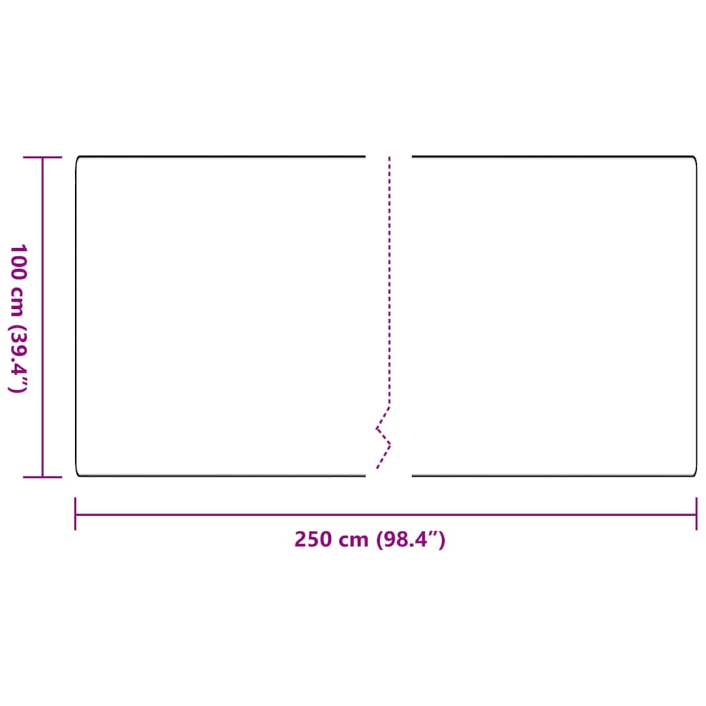 Tepih trkač Antracit 100 x 250 cm 100% Polipropilen