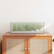 Akvarij s pohranom *Transparent*an 60 x 20 x 20 cm Stakl