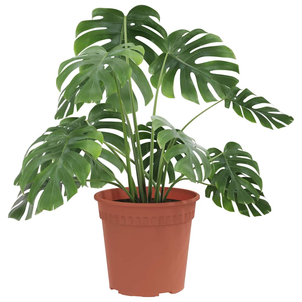 Okrugla saksija za cveće 24 pcs Crvena cigla Ø 19 x 16 cm