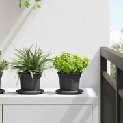 Okrugla saksija za cveće 24 pcs Crna Ø 12,5 x 10 cm Plastika