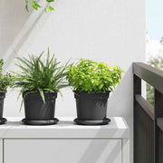Kružni Pladanj za Cvijeće 6 pcs Crna Ø 14 x 2 cm Plastika